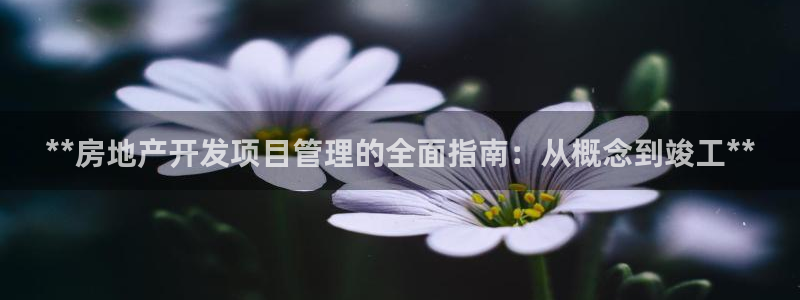 万向娱乐首页