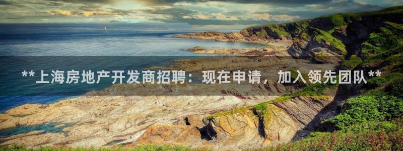 万向娱乐王者荣耀