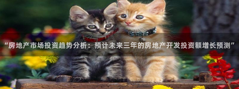 万向娱乐平台代理怎么做赚钱