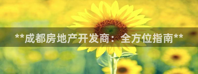 万向娱乐技术