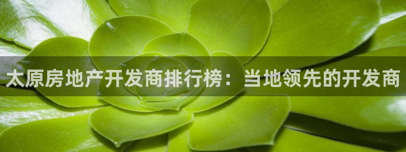 万向娱乐技术