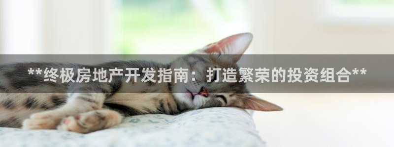 万向娱乐平台代理怎么做的
