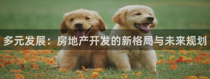 万向娱乐老板