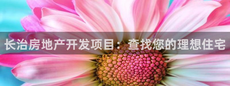 万向娱乐的494o3 主管