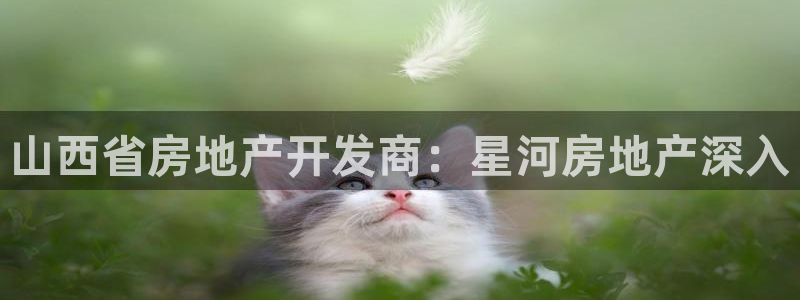 万向娱乐平台下载安装