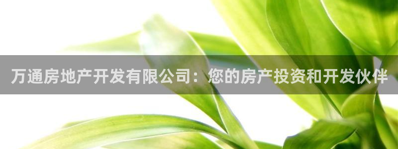 万向娱乐老板