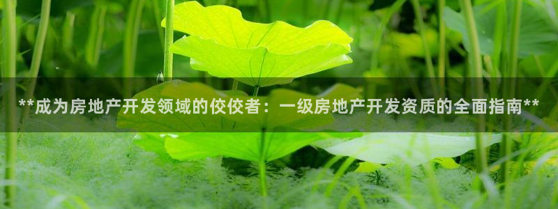万向娱乐的联系方式有哪些