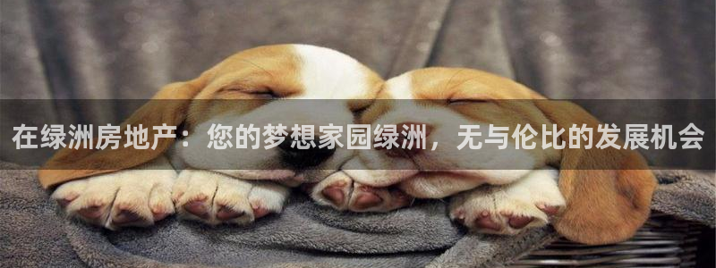万向娱乐挂机