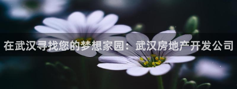 万向娱乐老板