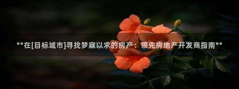 万向娱乐是野鸡台吗