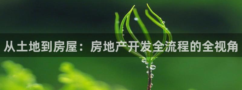 万向娱乐代理好看视频