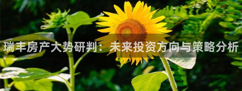 万向娱乐登陆