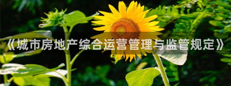 万向娱乐官网网址大全