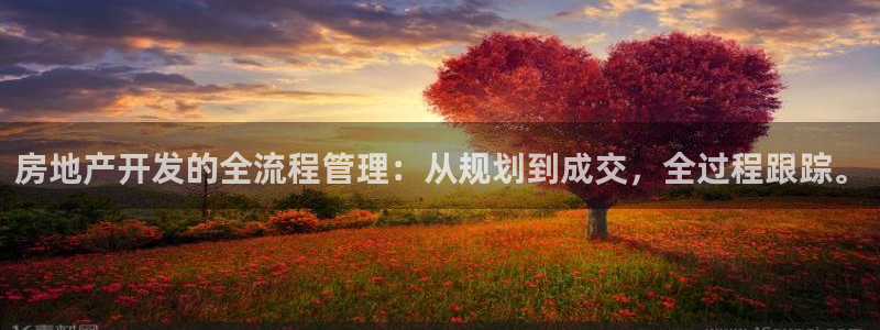 万向娱乐王者荣耀
