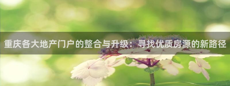 万向娱乐平台代理多少钱一个月