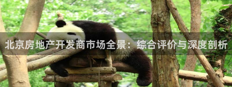 万向娱乐官网下载安装