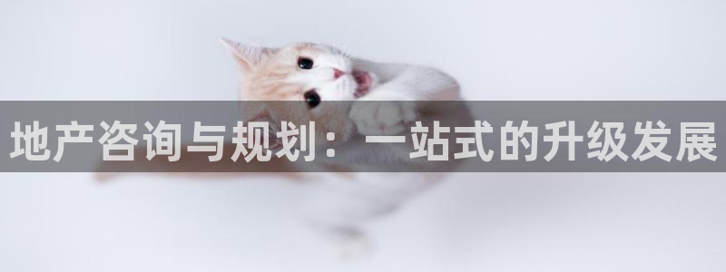 万向娱乐平台代理怎么样可靠吗
