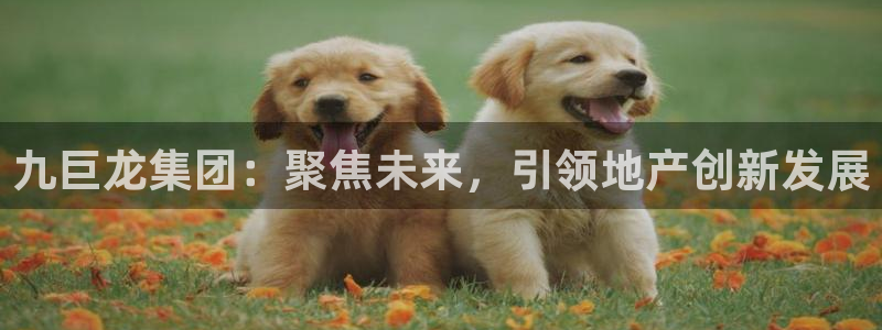 万向娱乐官网网址是什么