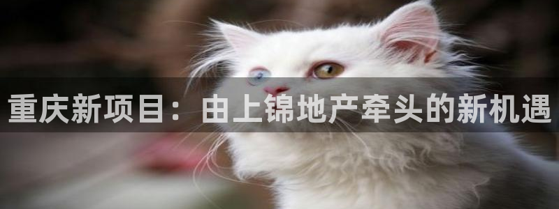 万向娱乐挂机软件