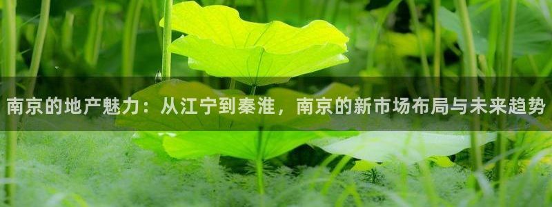 万向娱乐