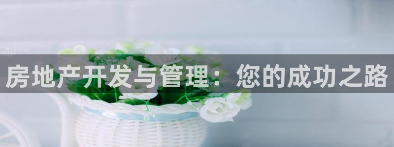 万向娱乐老板