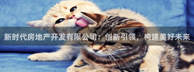 万向娱乐灯333OO