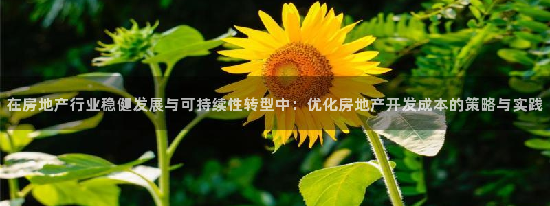 万向娱乐官网网址是什么