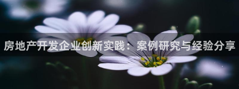 万向娱乐app下载