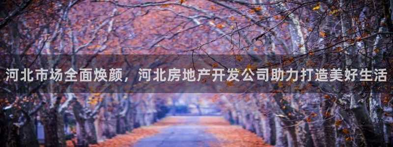 万向娱乐公司 585.34I 娱乐