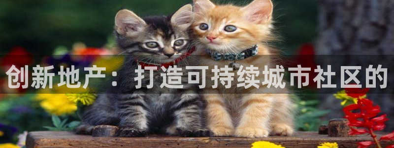 万向娱乐登陆官网入口