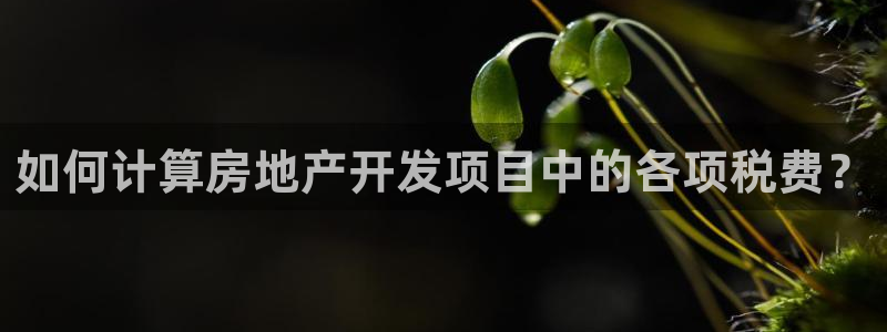万向娱乐平台代理怎么做的