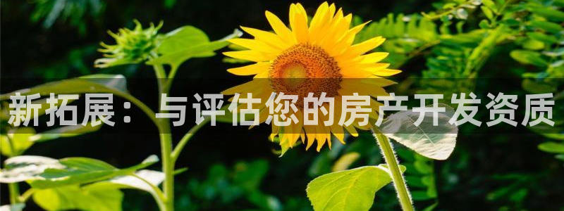 万向娱乐平台代理多少钱