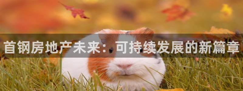 万向娱乐下载