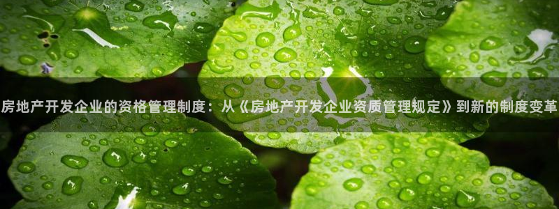 万向娱乐官网下载安卓
