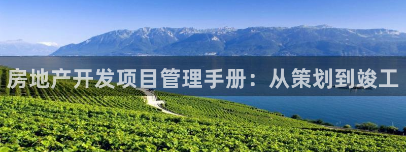 万向娱乐王者荣耀