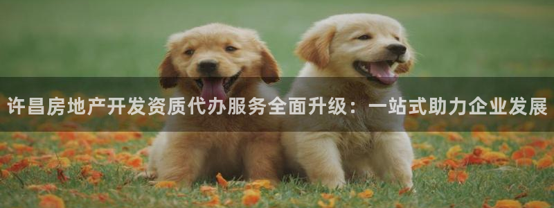 万向娱乐官网网址是多少