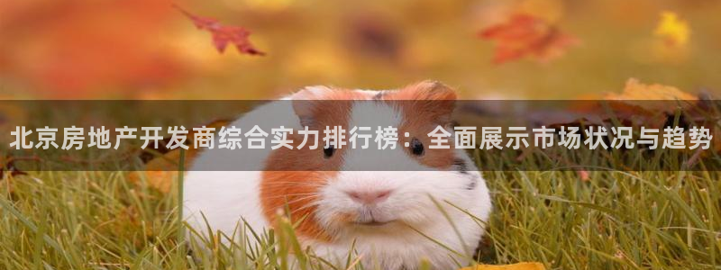 万向娱乐平台代理怎么样