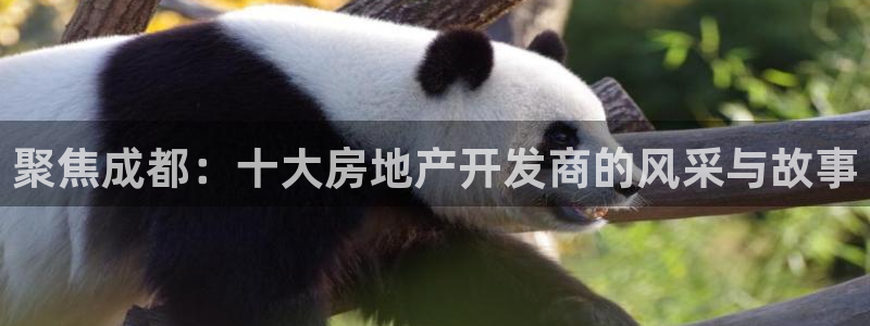 万向娱乐公司官网
