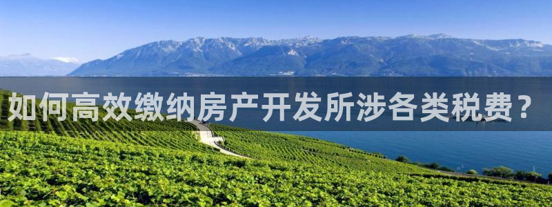 万向娱乐网址是什么