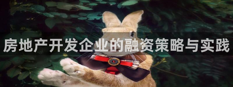 万向娱乐平台代理怎么样可靠吗