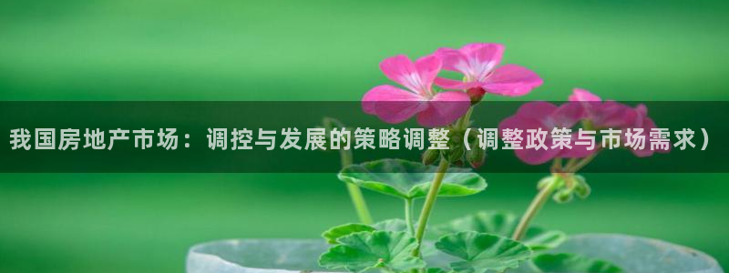 万向娱乐平台代理