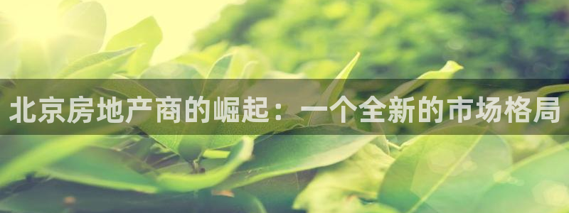 万向娱乐公司官网