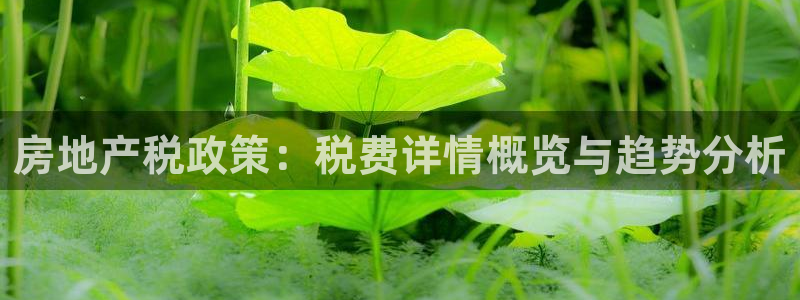 万向娱乐平台怎么下载