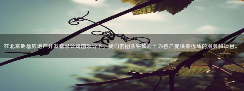 万向娱乐下载