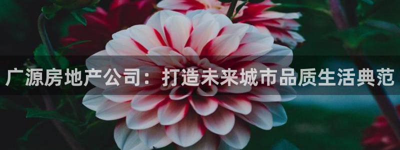 万向娱乐官网下载安卓