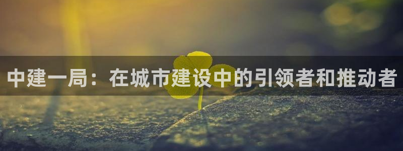 万向娱乐公司 585.34I 娱乐